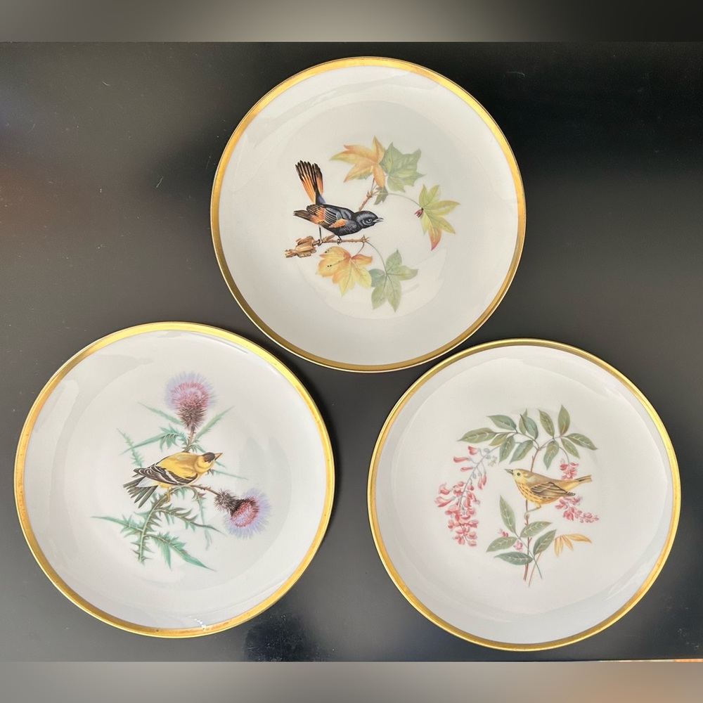 3 Vintage Pasco Audubon bird plates by Lorenz Hutschenreuther of Germany.